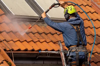 Démoussage et hydrofuge de toiture à Ispoure